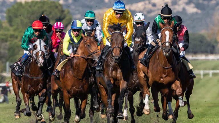 Hipódromo de la Zarzuela y la nueva temporada de carreras hípicas